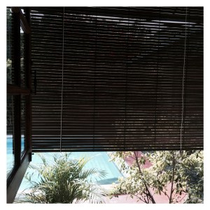 Processed with Moldiv