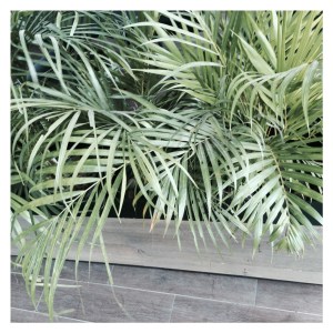 Processed with Moldiv